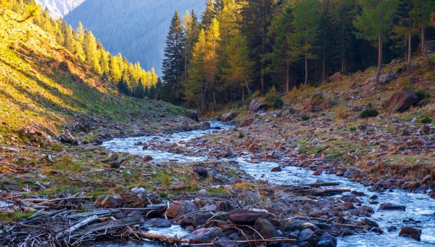 Bonus da 100mila euro, i borghi del Trentino cercano nuovi abitanti: hai solo pochi giorni