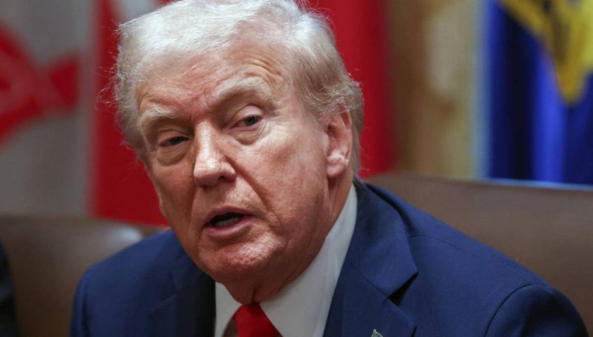 Dopo le scarpe d'oro, Trump lancia gli orologi: il regalo di Natale (da 100mila dollari) che non sapevi di volere