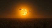 La Luna del Cacciatore 2026 scuote l&rsquo;oroscopo: ecco chi dovr&agrave; affrontare le sfide pi&ugrave; dure dal 26 Ottobre in poi