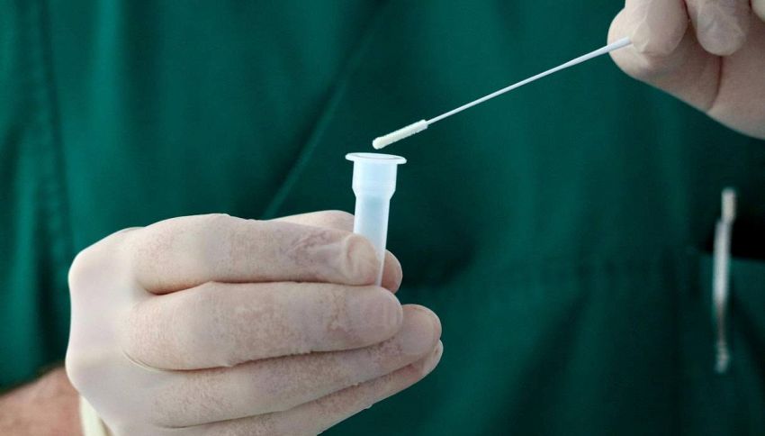 La previsione sulla prossima pandemia che potrebbe colpire il mondo come una bomba biologica: cos'è "The Big One"
