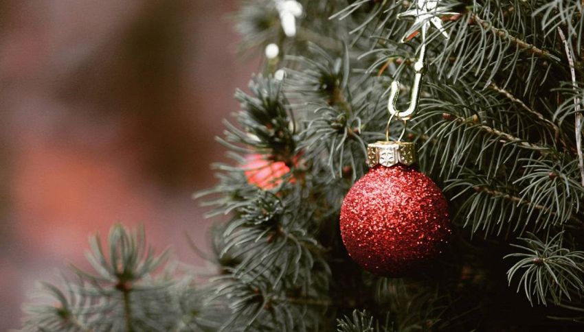 Altro che 8 dicembre: ecco la data "perfetta" per addobbare l'albero di Natale