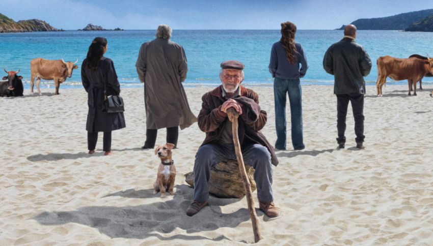 Il caso cinematografico del momento: perché La vita va così sta battendo i record di Zalone e Avatar