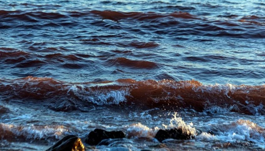 Il Golfo Persico si colora di rosso e impazzano le teorie sulle piaghe di Dio