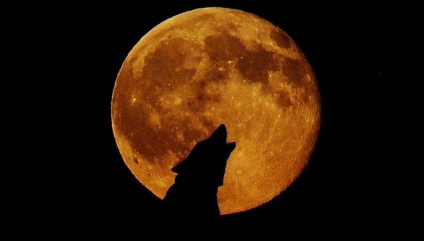 Il 2026 inizia sotto la Luna del Lupo: il 3 gennaio la prima luna piena con una sorpresa celeste