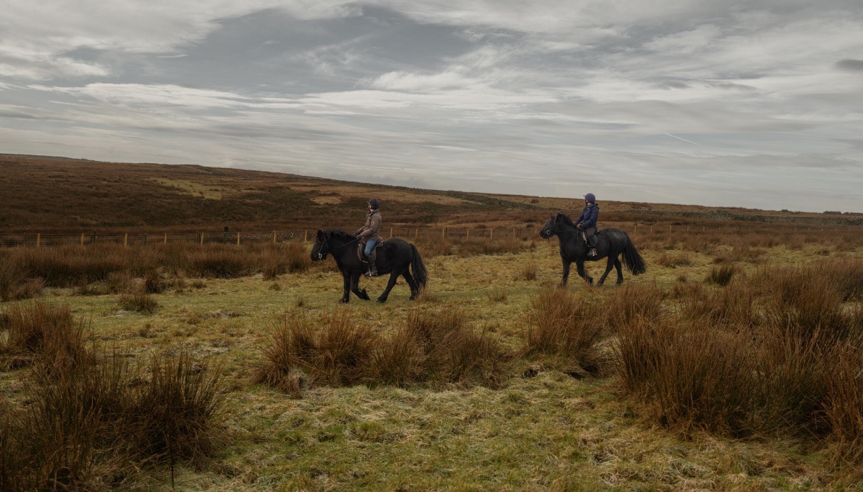 Una notte nella casa di Cime Tempestose (gratis)