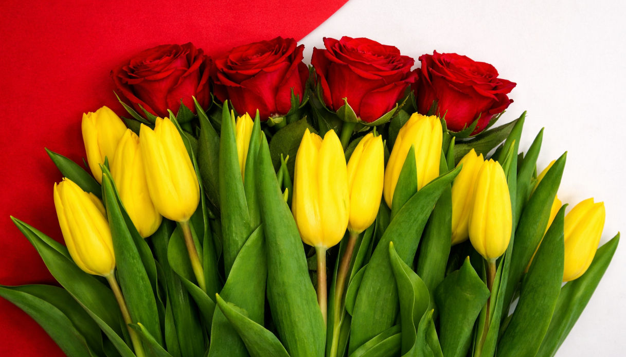 Perch&eacute; quest'anno bisogna regalare tulipani invece di rose per San Valentino (il motivo non &egrave; romantico)