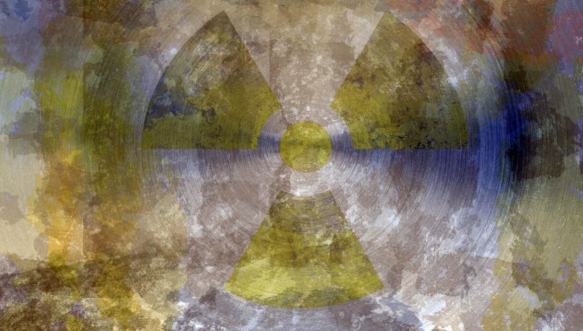 Cinque passi fondamentali da compiere immediatamente in caso di attacco nucleare, tra cui "spazzolare il pelo del proprio animale domestico"