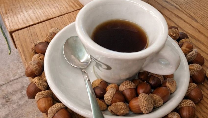 Dimentica tutto quello che sai sul cibo: in Tuscia stanno cucinando... le ghiande (e il risultato &egrave; sorprendente)