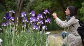 Firenze, riapre il Giardino dell'Iris: il paradiso segreto visitabile solo un mese l'anno