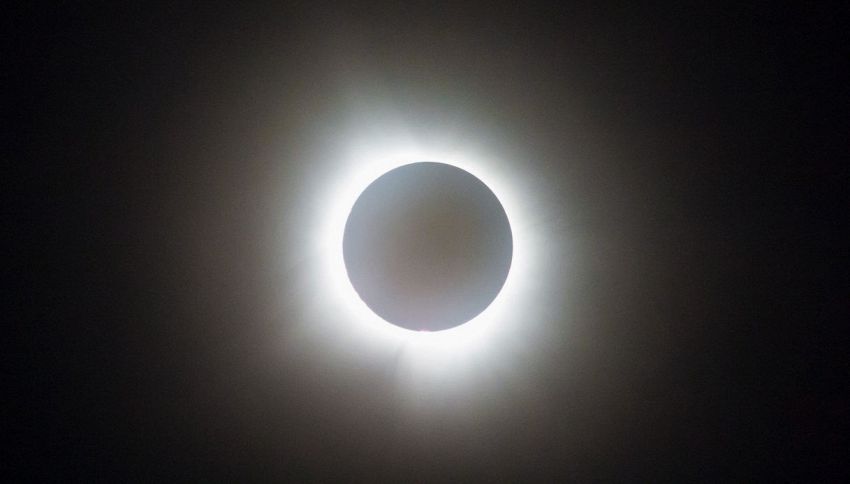 Eclissi di Sole del 12 Agosto, si rischia un'allerta sanitaria: avvertimento della NASA