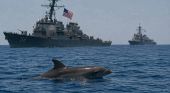 L'Iran user&agrave; davvero i delfini i guerra? La verit&agrave; dietro la notizia che sta facendo discutere
