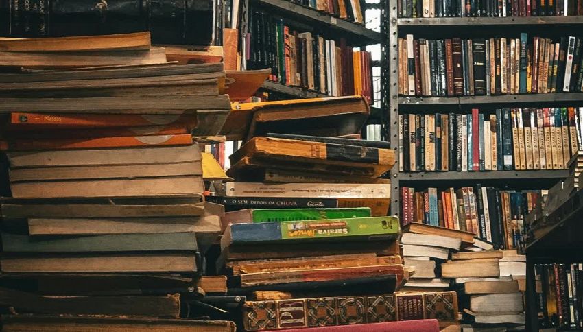 I 100 romanzi pi&ugrave; belli di sempre secondo gli scrittori: dentro anche 3 libri italiani