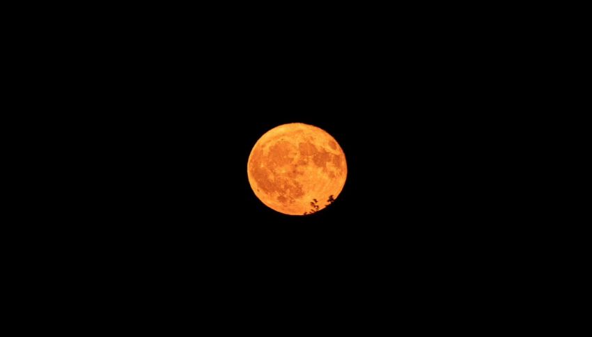 Oroscopo, Luna delle fragole influir&agrave; in peggio su questi segni: cosa accadr&agrave; a Giugno