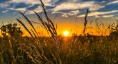Il caldo estremo durer&agrave; 4 ore al giorno in pi&ugrave;: il calore non dar&agrave; tregua. Quando accadr&agrave;
