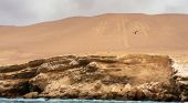 C'&egrave; un deserto dove compaiono figure visibili solo dal cielo: il mistero irrisolto da 2000 anni di Nazca