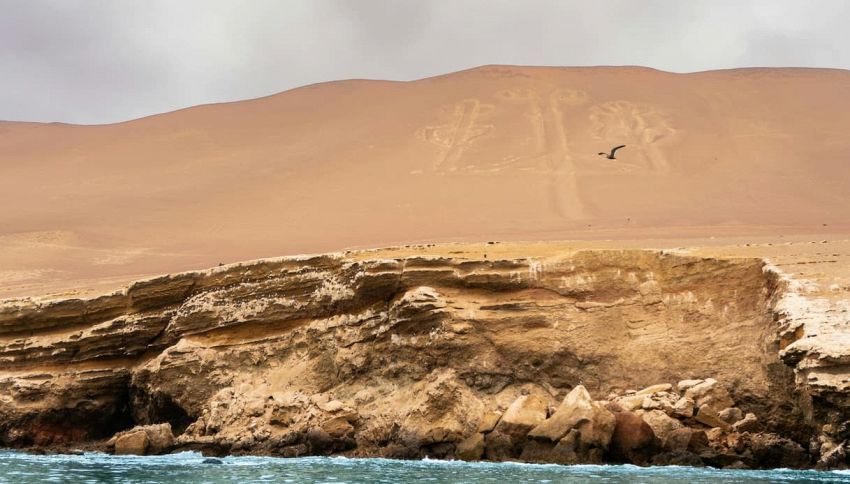 C'&egrave; un deserto dove compaiono figure visibili solo dal cielo: il mistero irrisolto da 2000 anni di Nazca