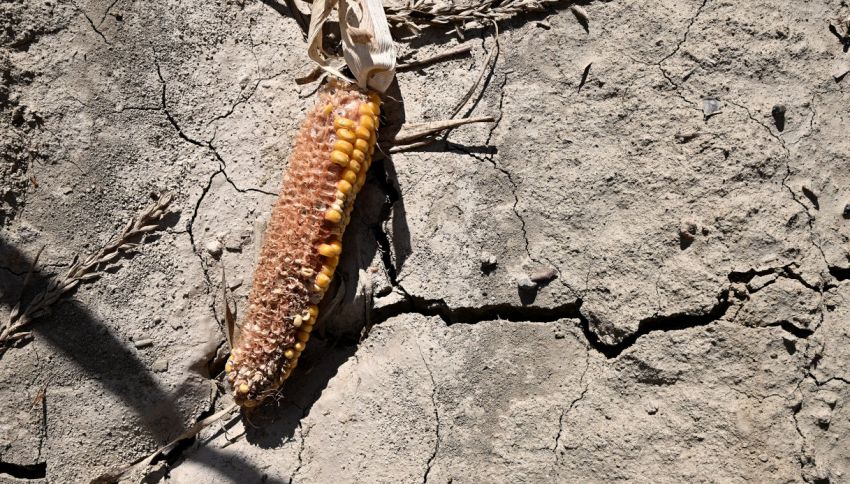 El Ni&ntilde;o, l'allarme dell'Onu: il fenomeno durer&agrave; fino a febbraio e lascer&agrave; il segno nel 2027