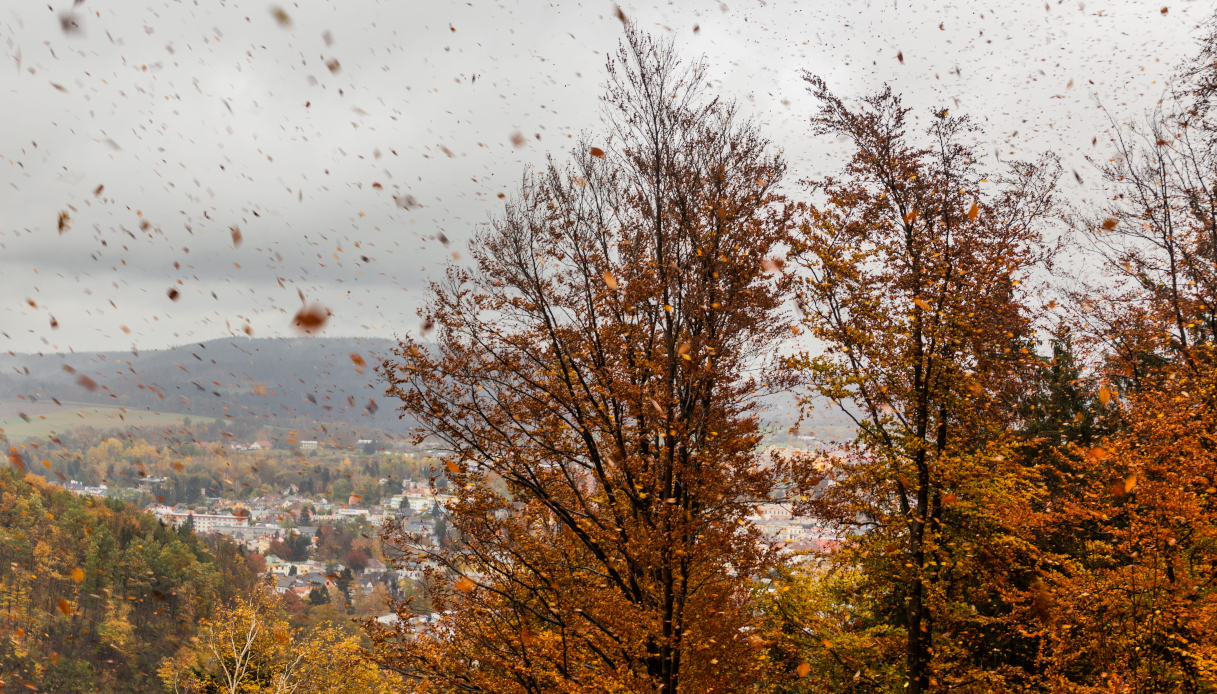 Prima tempesta d&rsquo;autunno in arrivo: le mappe meteo mostrano il possibile cambio di scenario