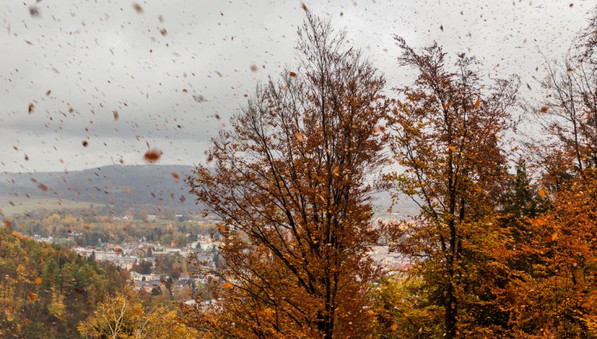 Prima tempesta d&rsquo;autunno in arrivo: le mappe meteo mostrano il possibile cambio di scenario