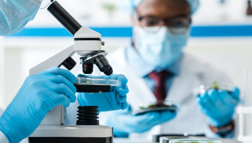 Il sangue di un ottantenne &egrave; ringiovanito di 60 anni: ecco cosa &egrave; successo in laboratorio