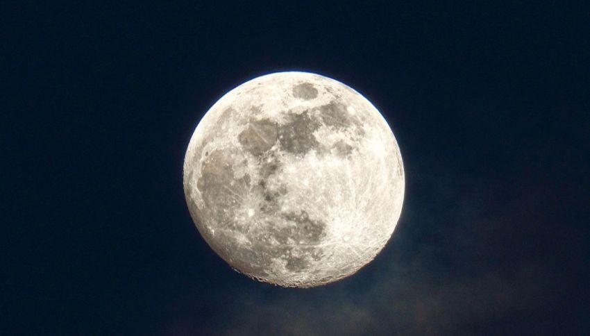 Oroscopo, ottobre cambier&agrave; la vita (in meglio) a questi 4 segni zodiacali: quali sono