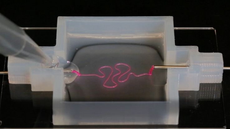 Dialisi, ad Harvard si realizza il rene con la stampante 3D