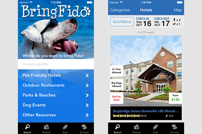BringFido: i nostri amici a 4 zampe sempre con noi