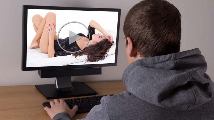 Ragazzo vede video sexy al PC