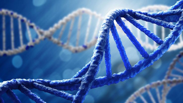 Test DNA economico, dagli Stati Uniti il chip che costa un centesimo