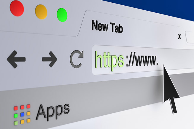 URL con dominio ingannevole