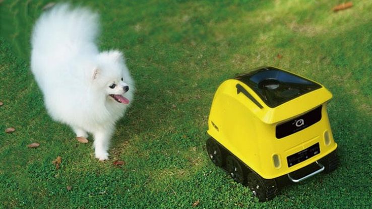 Anthouse, il robot casalingo che si occupa dei nostri cani