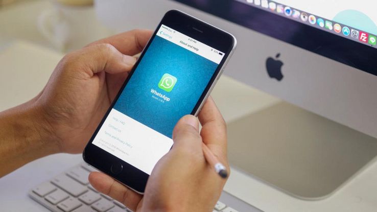 WhatsApp iPhone, nuove funzionalità di ricerca e sticker in arrivo