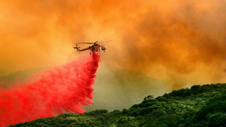 California, Facebook donerà 1 mln di dlr