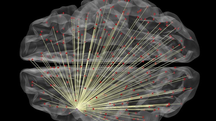 'Censiti' i neuroni del cervello