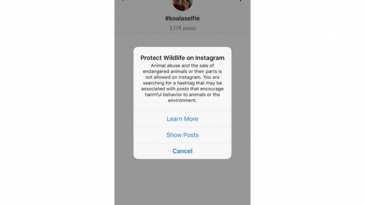 Instagram, stop selfie animali selvatici