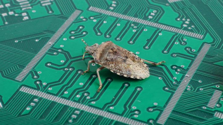 Un insetto - bug in inglese - su chip di silicio