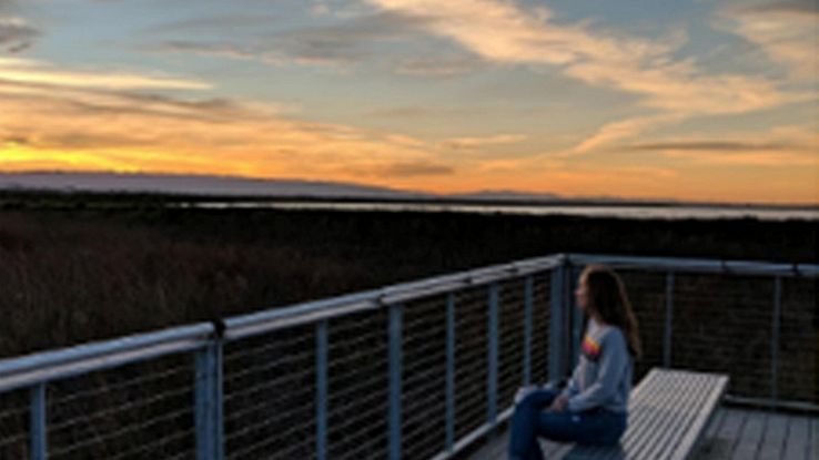 Pixel Visual Core, foto più belle su app