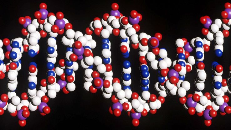 Usa, cattura killer con siti genealogia