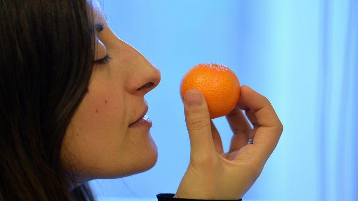 Naso elettronico per le armi chimiche