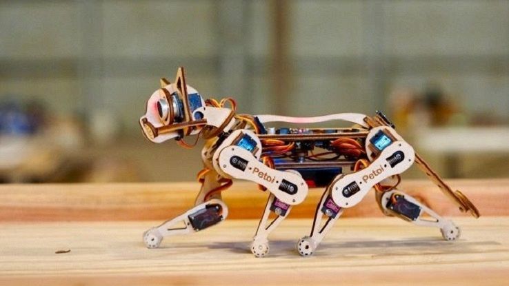 un'immagine dl gatto robotico Nybble