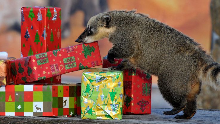 Natale: 7 utenti su 10 con regali falsi