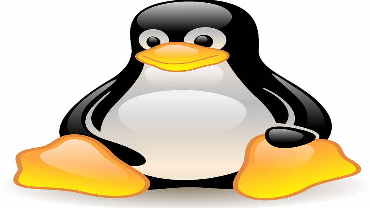 Linux DoS vulnerability