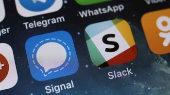 signal whatsapp