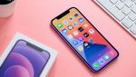 iphone 12 viola