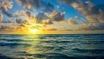 Giornata mondiale degli oceani: 3 film da vedere