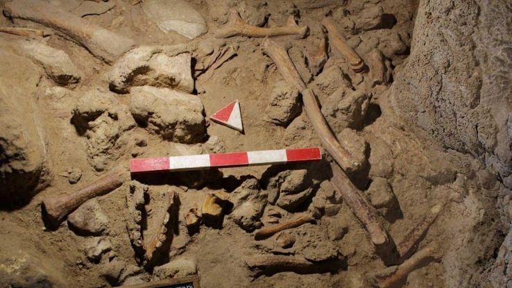 In Italia è stato scoperto l'uomo di Neanderthal