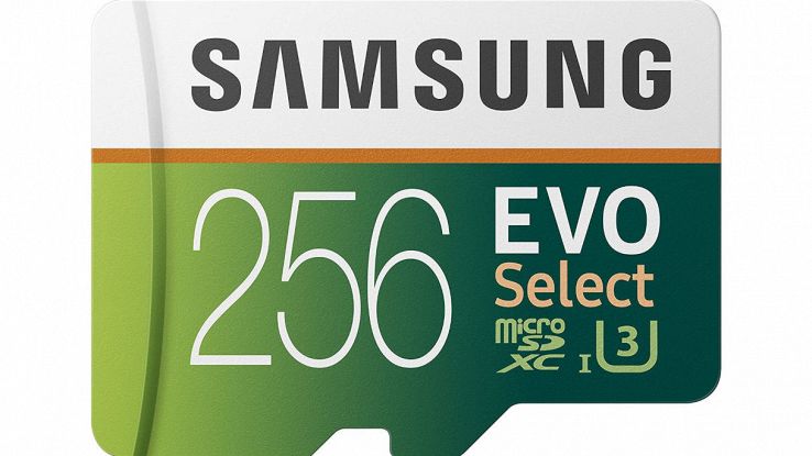 Samsung MB-ME256HA Evo Select da 256 GB