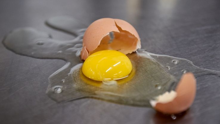Gli archeologi hanno trovato un uovo di mille (e lo hanno rotto per sbaglio)