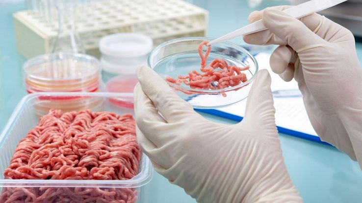 La carne fatta in laboratorio è già realtà: un giorno sarà l'unica che mangeremo