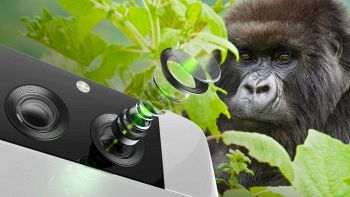 corning gorilla glass dx